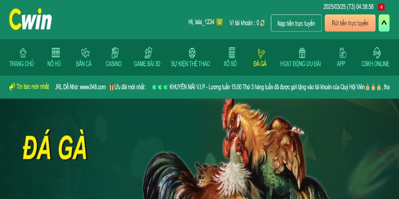 Tổng quan về bộ môn giải trí trực tuyến đá gà C1 hấp dẫn nhất