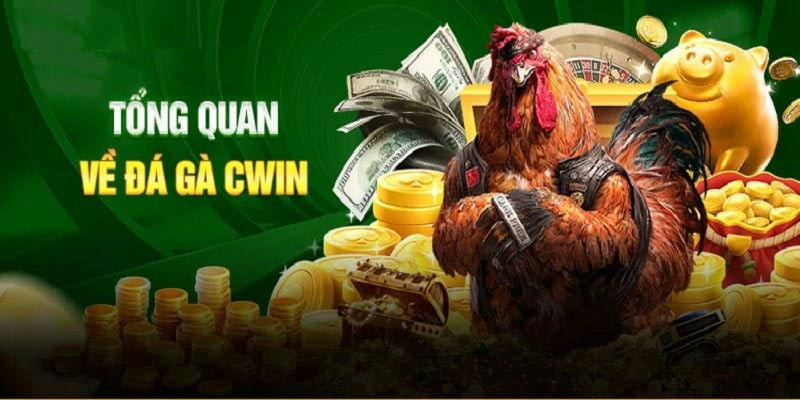 Đôi nét về chuyên mục giải trí trực tuyến đá gà Cwin