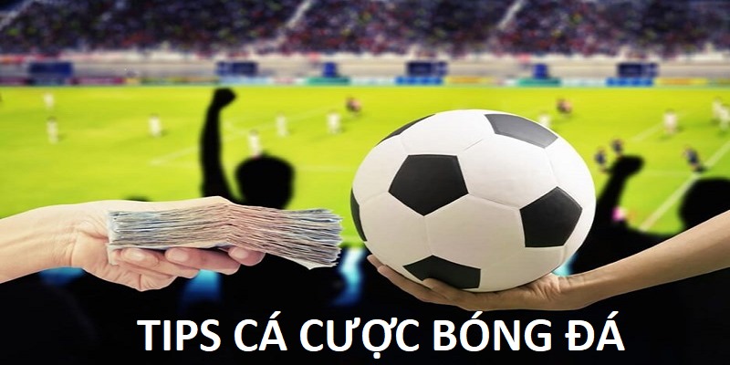 Tips cá cược bóng đá dành riêng cho người có đam mê
